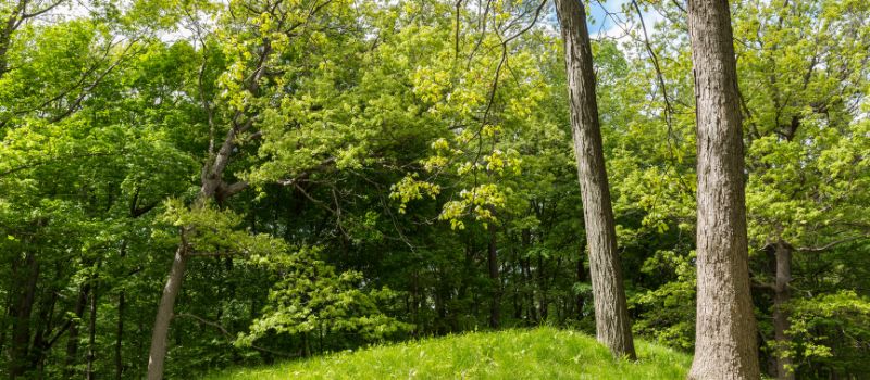 alternative-bestattung-st-margarethen